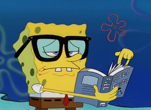 635977379756924638819126700_6358850629939497541675467462_Spongebob