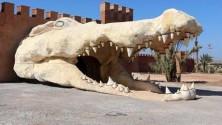 أول حديقة للتماسيح في المغرب تفتح أبوابها بمدينة أڭادير