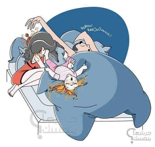 1278183_1251989134830901_1541705743416424716_n