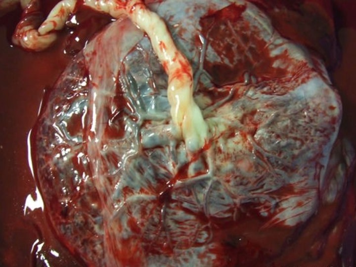 Image processed by CodeCarvings Piczard ### FREE Community Edition ### on 2015-03-04 22:13:51Z | | Û