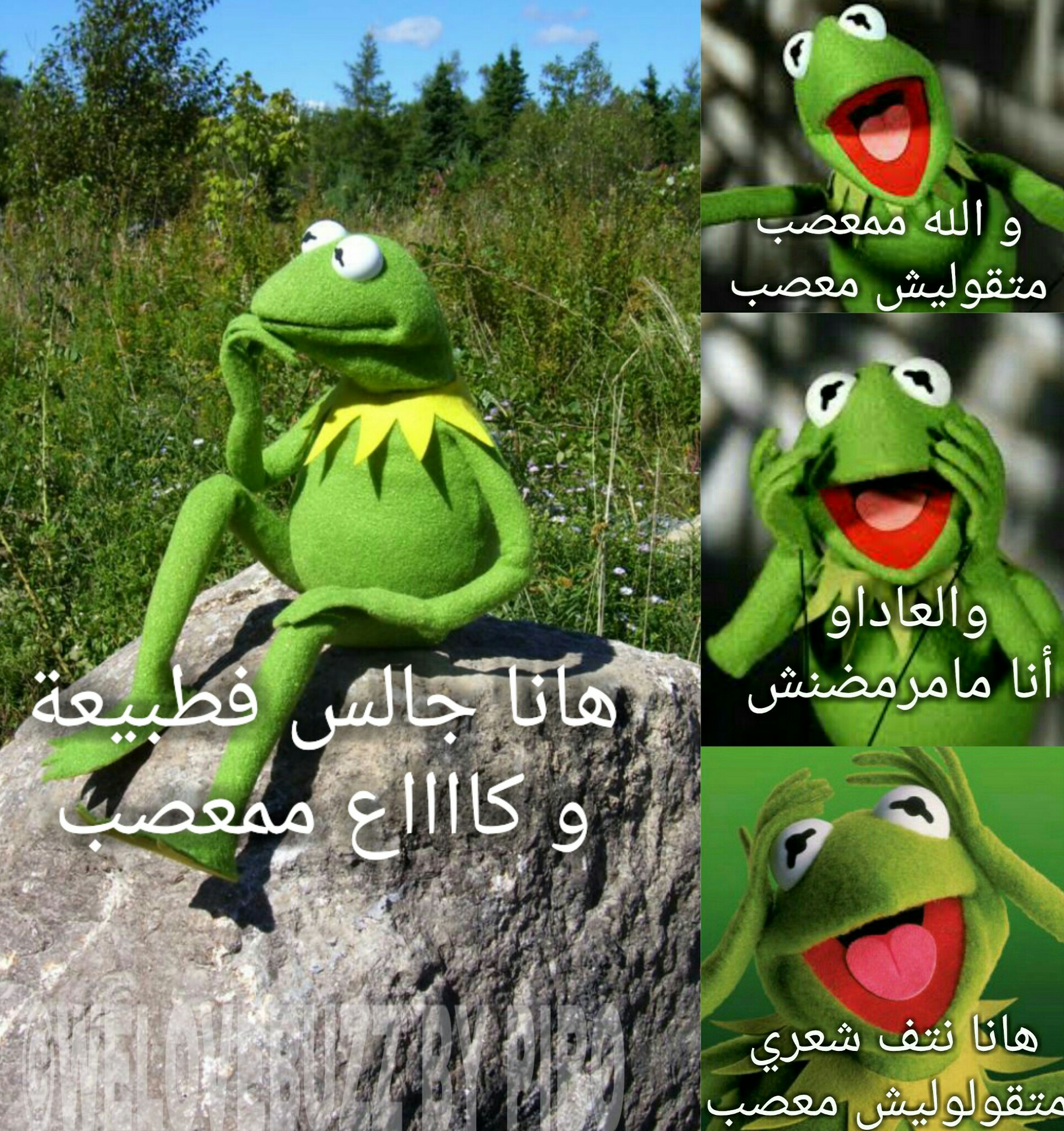 PicsArt_05-29-07.23.38