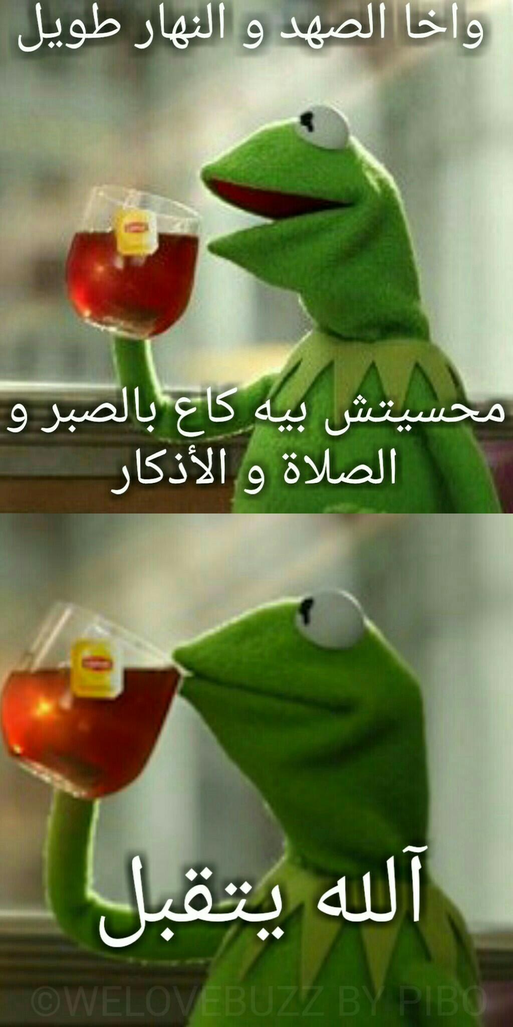 PicsArt_05-29-07.24.59