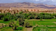 السجل الوطني الفلاحي وتنمية الواحات