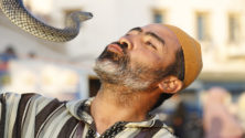 حقائق مبهرة تسمعها لأول مرة عن مهنة ”العيساوي” .. نزع السم عن الثعبان خرافة صدقها المغاربة