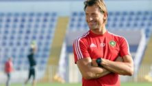 رسمياً .. هيرفي رونار لن يغادر المنتخب الوطني