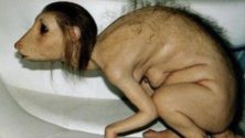 هذه القصص المغربية ”دارت البوز” قبل ظهور السوشال ميديا
